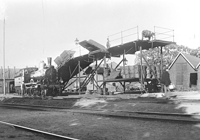 SJ gamla lokstallar vid Skansen Lejonet 1897. Tv tippvagnar lastade med stenkol hller p att spelas upp p kolgivningsbryggan. nglok SJ Cc 420 str berett att kra fram fr att f sitt kolfrrd kompletterat.