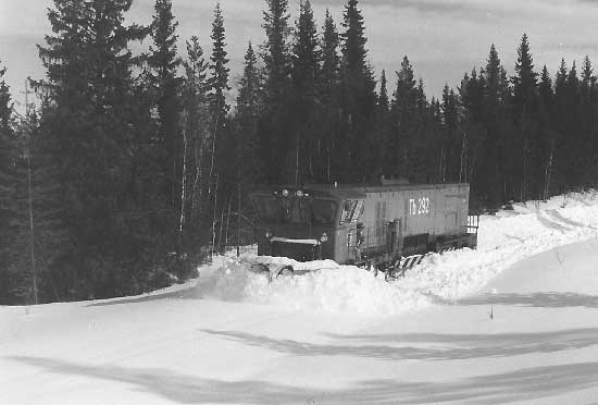 Engine Tb 292 at the line obliterated by snow