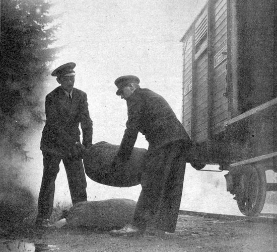 Konduktör Albert Johansson (t. h.) lossar med hjälp av biträdande konduktör Einar Pettersson två säckar potatis. Styckegodstrafiken är inte stor just ..