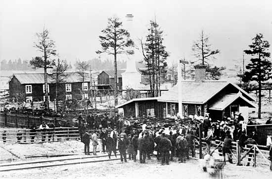 MaSJ Lerviks lineman's cottage year 1879