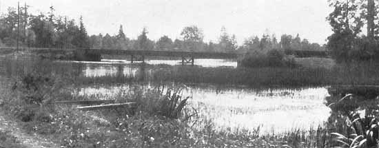 Bridge over Helgaån at Räppe station