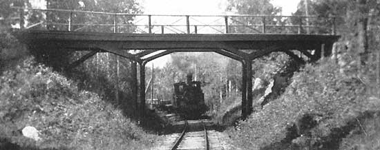 Train at Tylöskogen year 1924