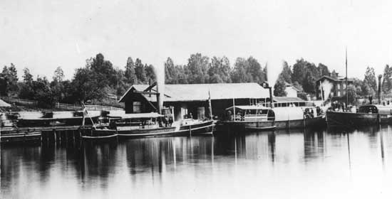 Tre ångbåtar i Bergvikens hamn omkring 1880